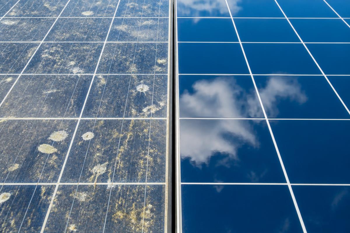 Side by side solar panels, one caked with pollen and droppings, the other spotless